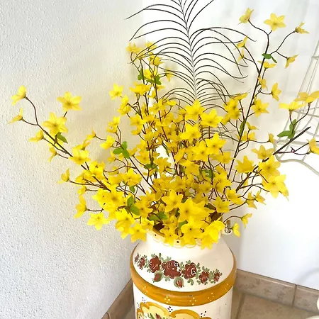 Appartamento Edyta Ellmau